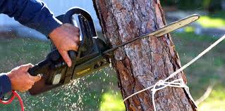 Best Soil Testing and Treatment  in Signal Hill, CA