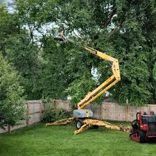 Best Lot and Land Clearing  in Signal Hill, CA